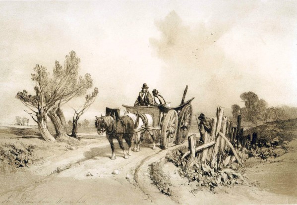 In Barnham Marshes by James Duffield Harding